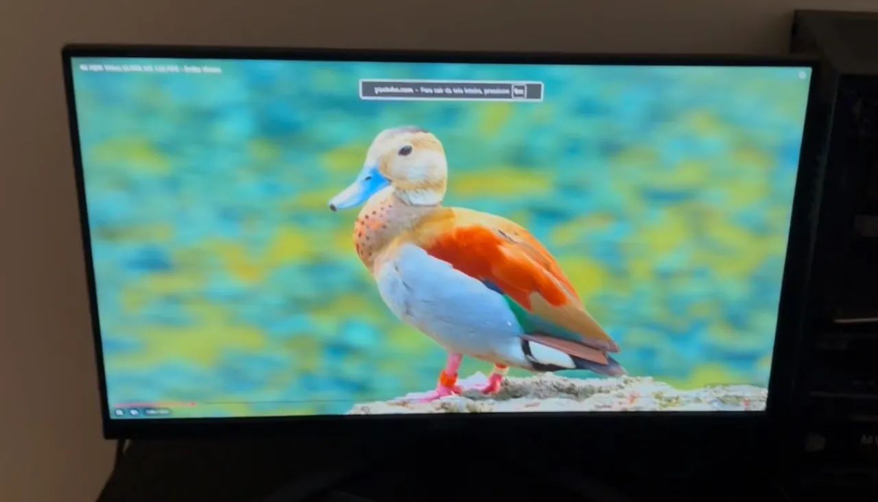 Monitor Gamer Asus 24.5 200hz - Foto 4