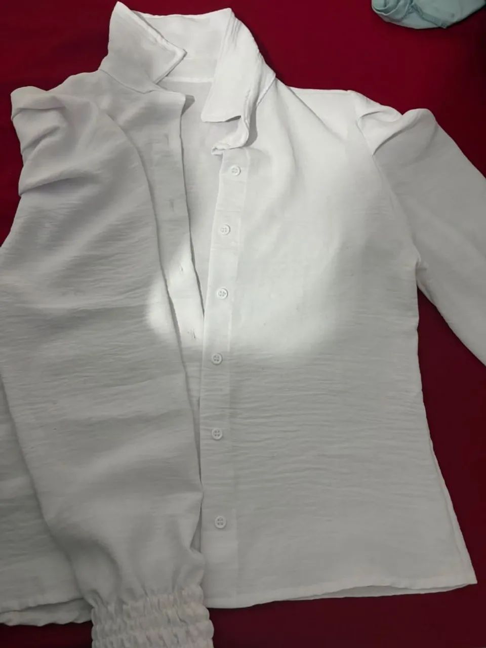 BLUSA SOCIAL (FEMININA)