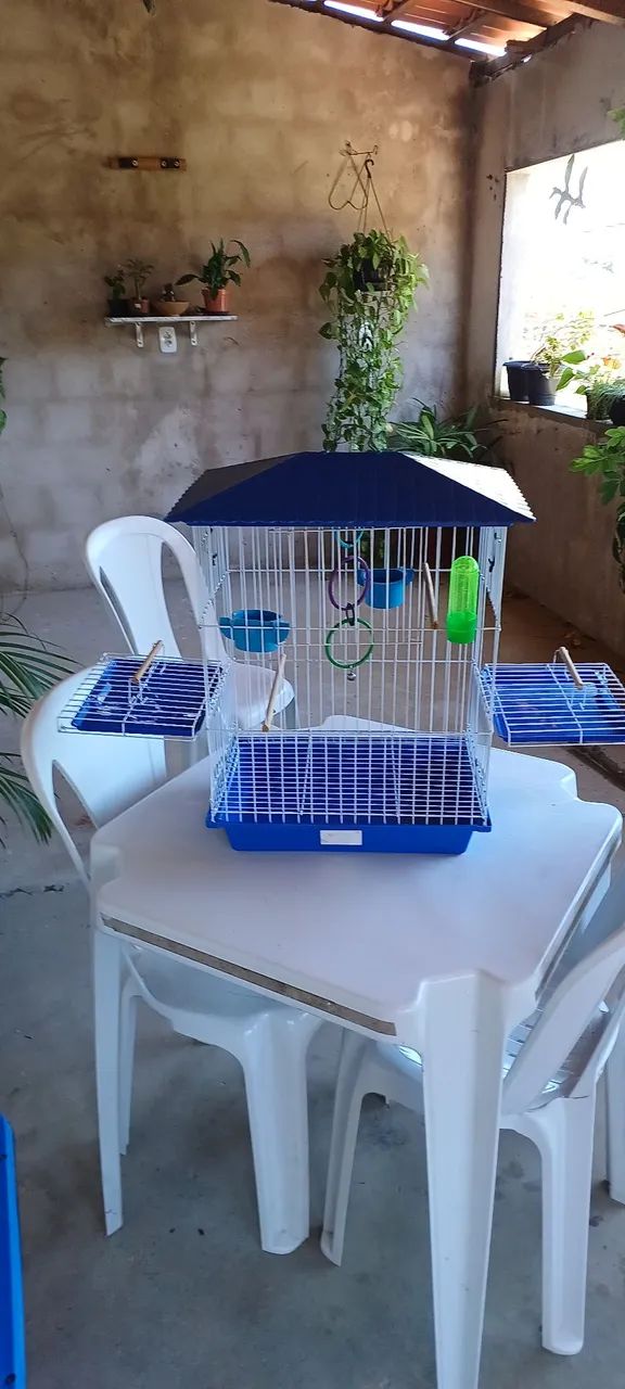 Gaiola p/ Calopsita ou Piriquito Mansa Luxo - Vivopet - Azul - Foto 2