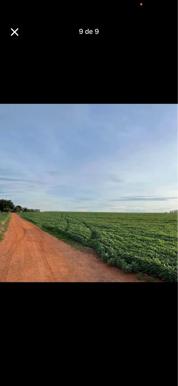 Sítio 33 ha em campo verde mt  - Foto 3