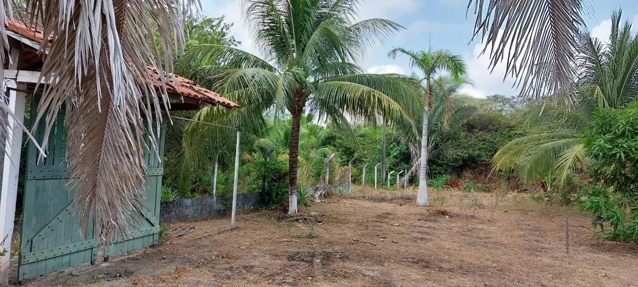 VENDE SE ESSE SÍTIO  - Foto 3