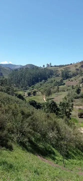 Lugar dos Sonhos!! Belíssima chácara de 6.000m2 em Marmelopolis - MG - Foto 4