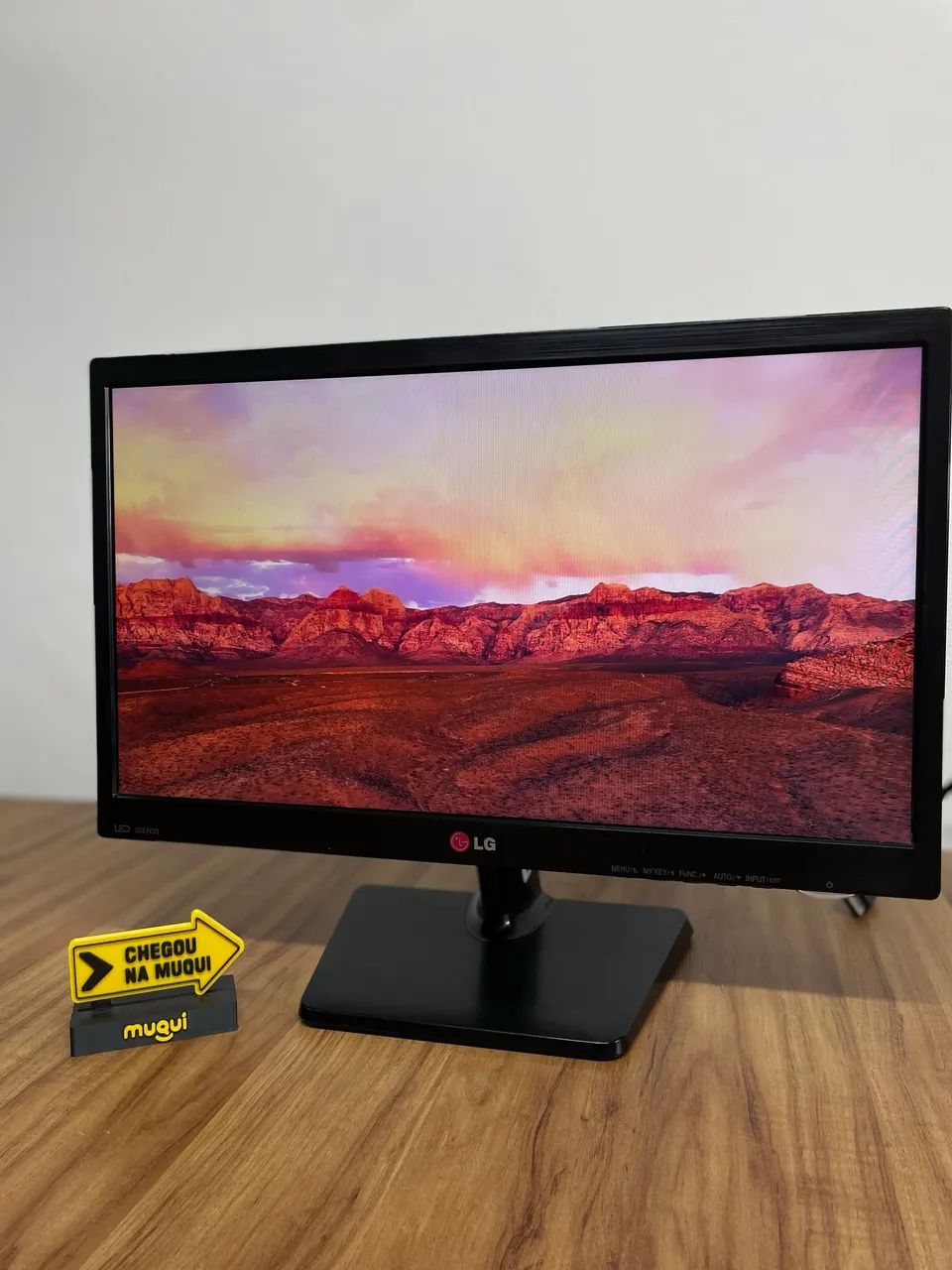 LG 20 polegadas VGA COM AJUSTE DE ÂNGULO - Foto 3