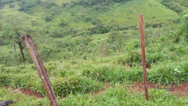 Fazenda à venda, 2541000 m² por r$ 3.675.000 - fazenda velha - nova laranjeiras/pr - Foto 8