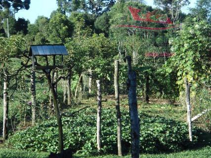 Chácara rural à venda, campo largo da roseira, são josé dos pinhais - ch0026. - Foto 16