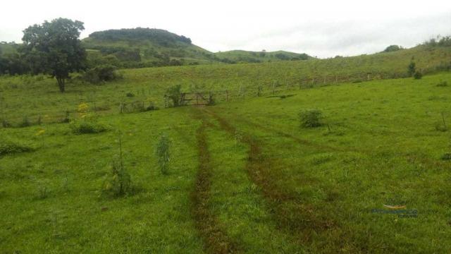 Fazenda à venda, 2541000 m² por r$ 3.675.000 - fazenda velha - nova laranjeiras/pr - Foto 5