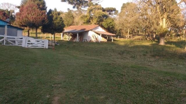 Sítio rural à venda, zona rural, quitandinha. - Foto 20