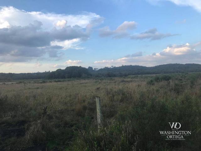 Área à venda, 715259 m² por r$ 5.500.000,00 - são marcos - são josé dos pinhais/pr - Foto 11