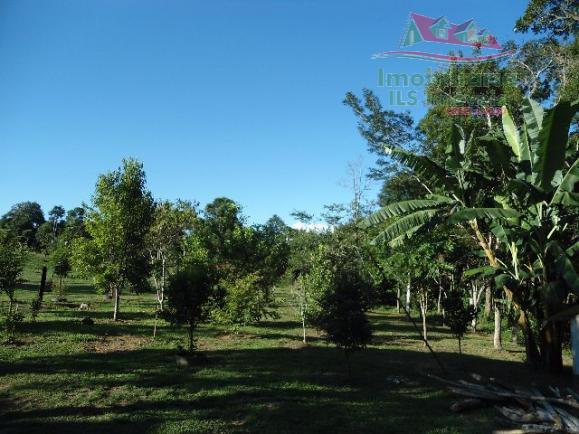 Chácara rural à venda, campo largo da roseira, são josé dos pinhais - ch0026. - Foto 6