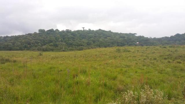 Área à venda, 103000 m² por r$ 700.000,00 - borda do campo - são josé dos pinhais/pr - Foto 9