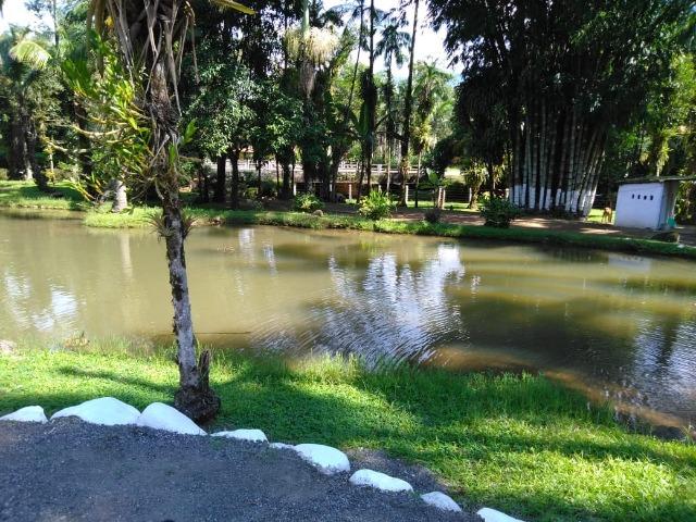 Chácara - São João da Graciosa - Morretes - Foto 18