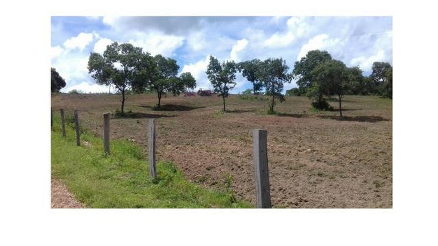 1950 Hectares, Poconé,25 Hectares Lamina d1agua capac. 400 mil/ton peixe/ano - Foto 2