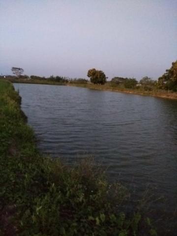 Sítio com 4,5 hectares, situado na cidade de Arari-MA - Foto 14