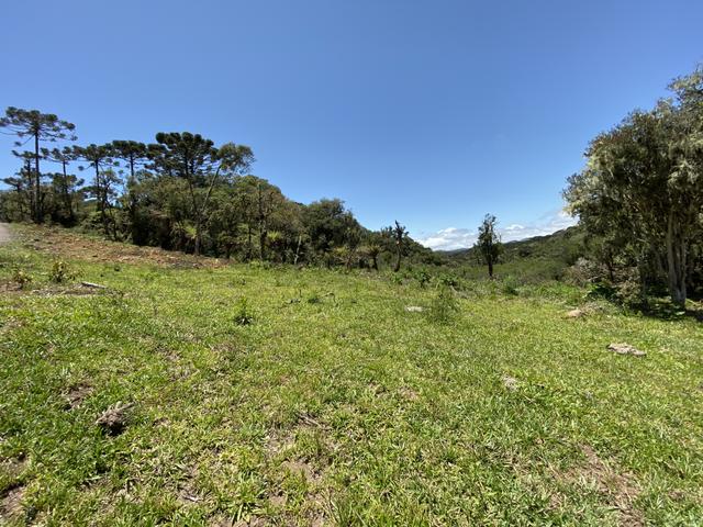 Terreno Urubici/ Chácara Urubici - Foto 3