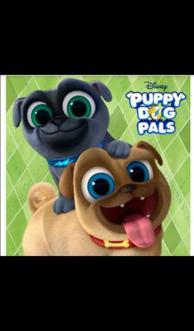 Pug filhotes - Foto 2