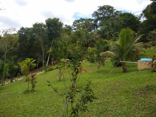 Linda chácara em Agro Brasil- Cachoeiras de Macacu RJ 116 oportunidade!!!! - Foto 11