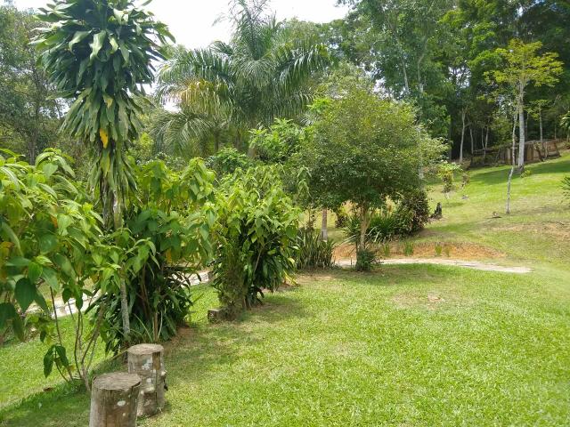 Linda chácara em Agro Brasil- Cachoeiras de Macacu RJ 116 oportunidade!!!! - Foto 6