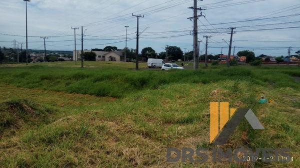 Terreno em rua - Bairro Conjunto Habitacional Alexandre Urbanas em Londrina - Foto 6