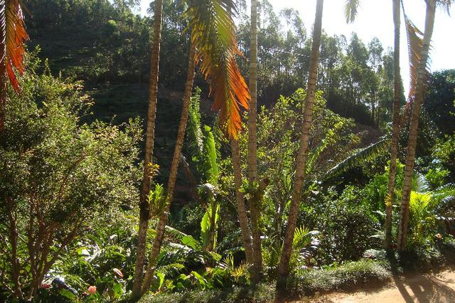 Sitio araguia 37 mil metros quadrado - Foto 9