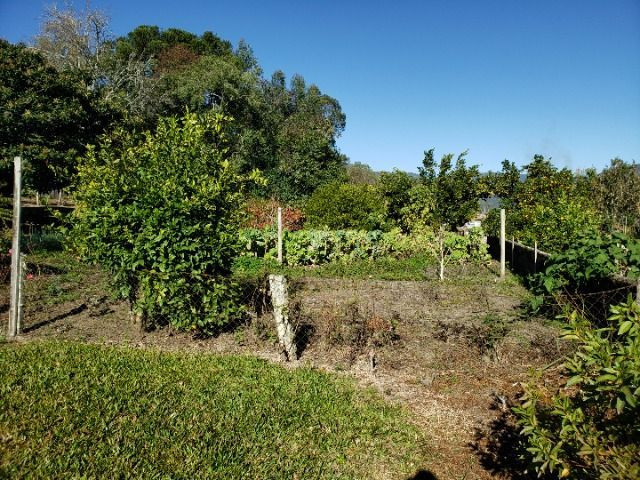 Terreno Urbano no centro de Rio Rufino - Foto 12