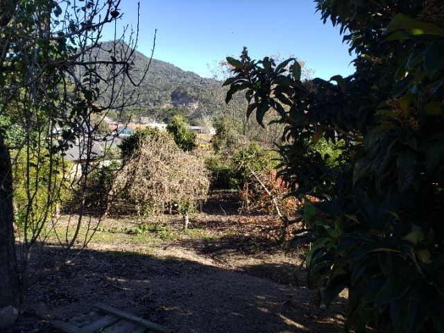 Terreno Urbano no centro de Rio Rufino - Foto 13