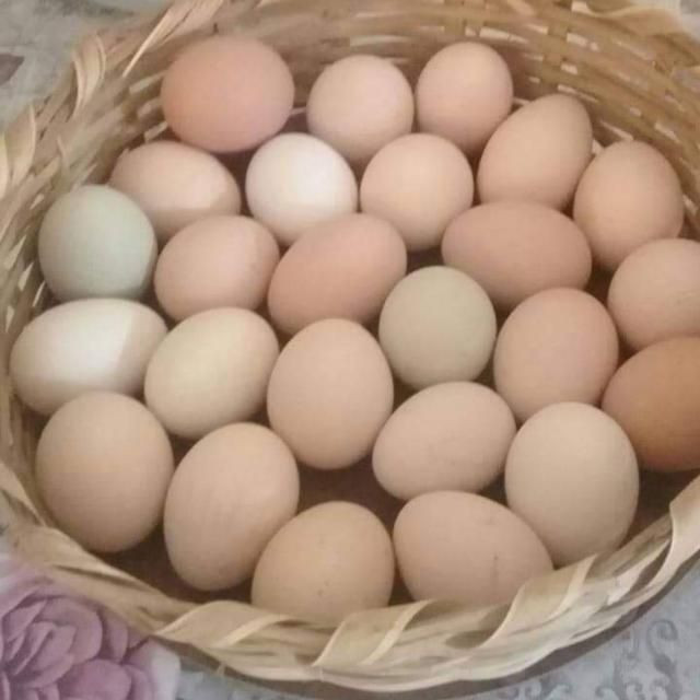 Ovos Caipira