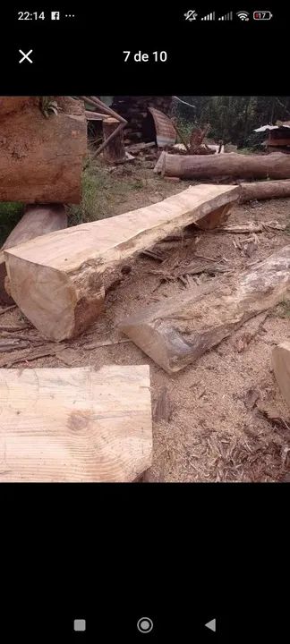 Pranchas de madeira  - Foto 5