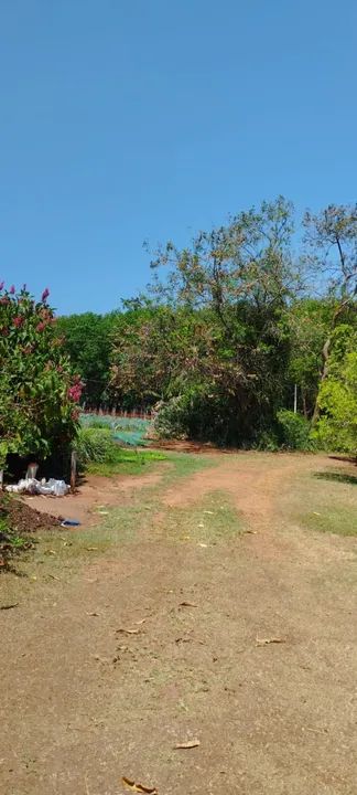 Sítio com 22.800m2 em Bady Bassitt  - Foto 2