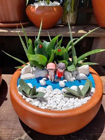 Minis jardins de cactos é suculentas  - Foto 3