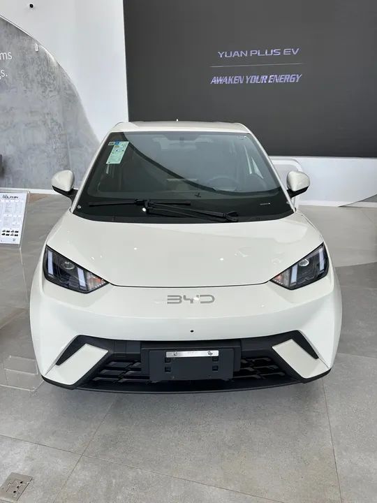 BYD Dolphin 2024