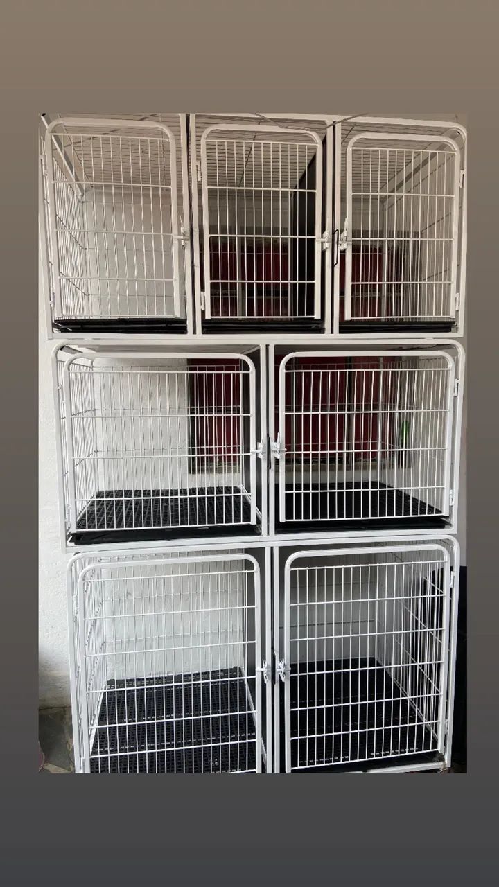 Canil petshop 64309467856131120