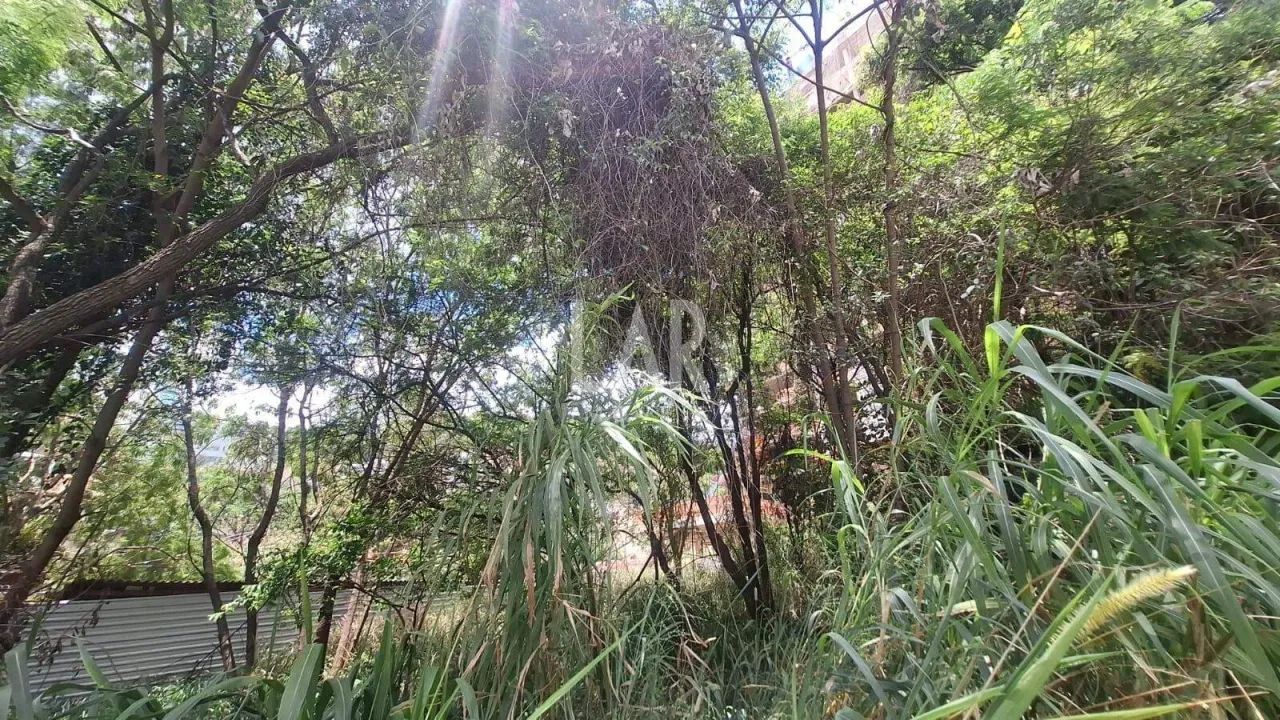 Lote - Terreno à venda, Santa Lúcia - Belo Horizonte/MG - Foto 5