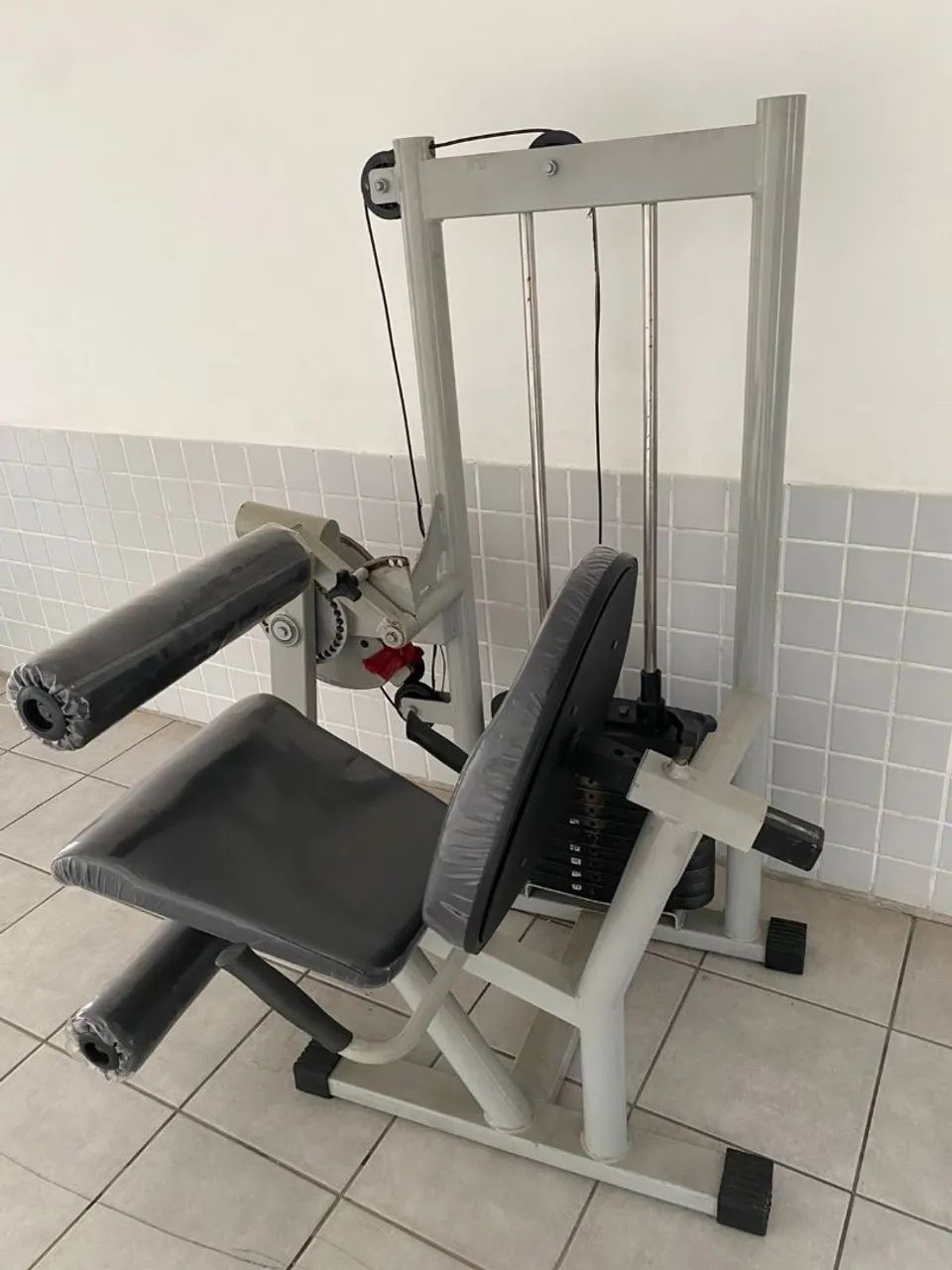 cadeira flexora e extensora 