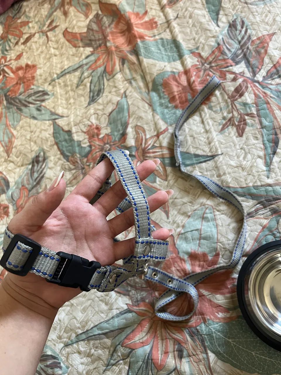 Coisas pra pet - Foto 5