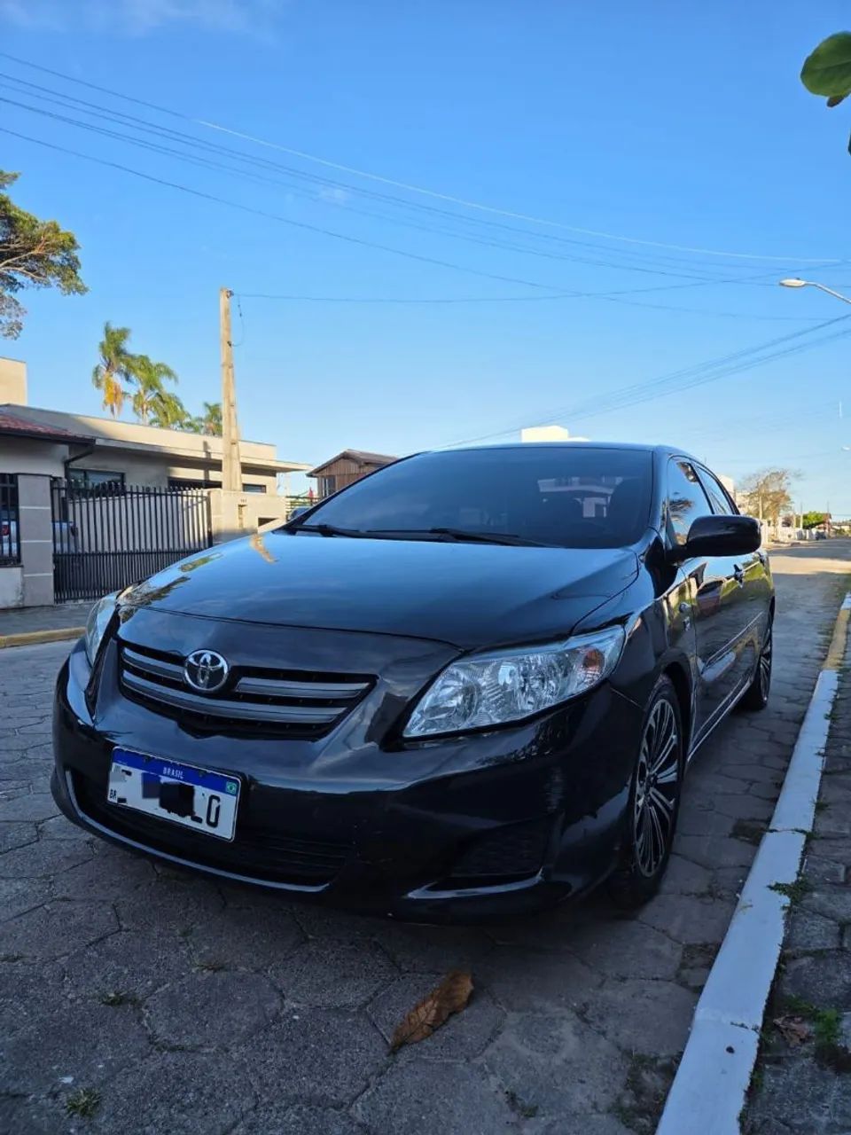 Corolla XLI 2009/2010 - Foto 3