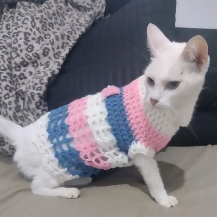 Vestido para  pet - Foto 5