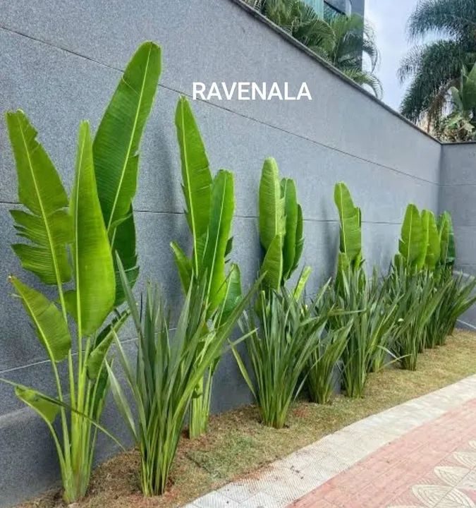 PAISAGISMO, JARDINAGEM EM GERAL - Foto 5