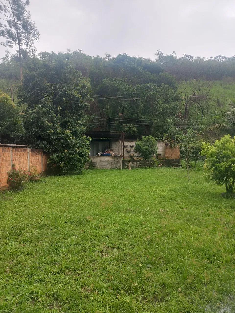 Terreno