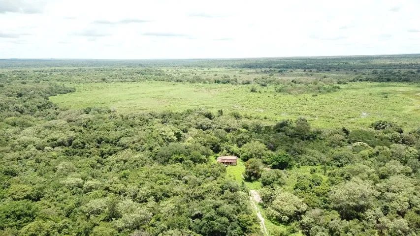 Vendo propriedade rural com 160 hectares - Curimatá/PI - Foto 5