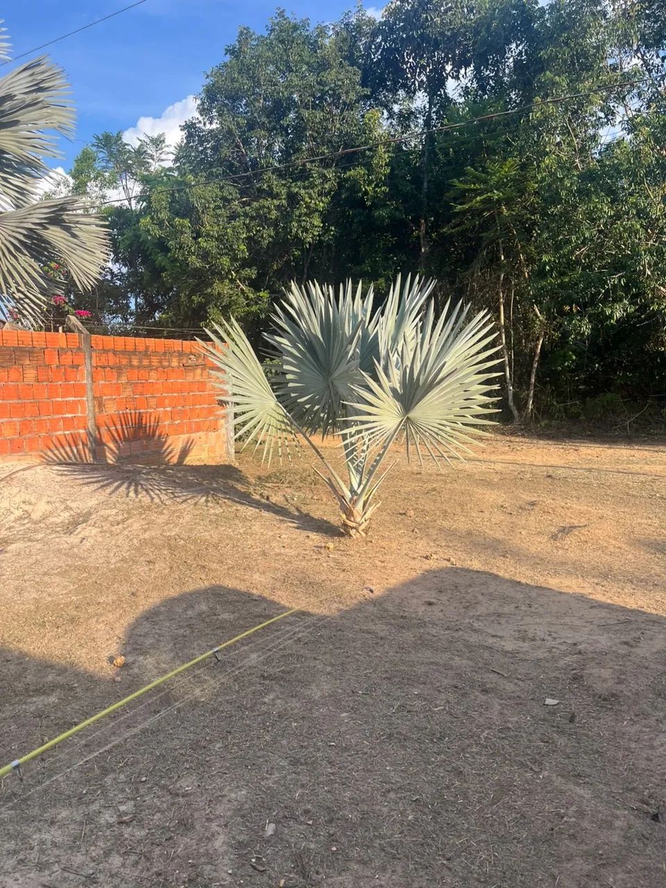 Sítio em Iranduba  - Foto 4