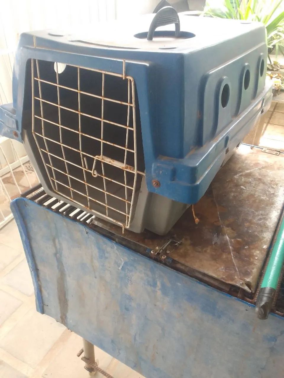 Para animal - Foto 2