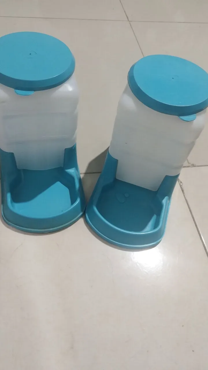 Comedouro Duplo para Cães e coleirca