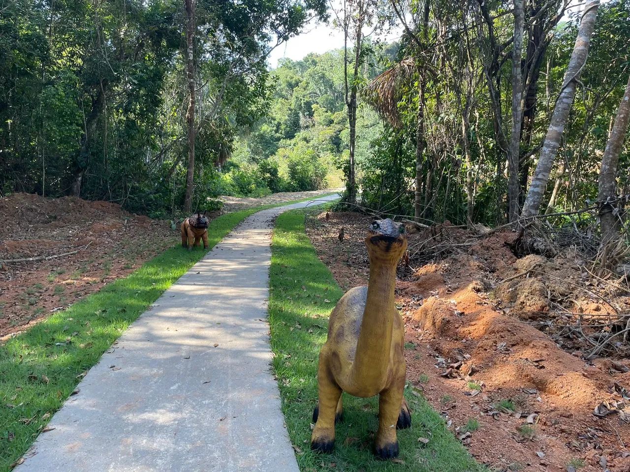 Transferência de lotes na chácara Maiápolis - Foto 3