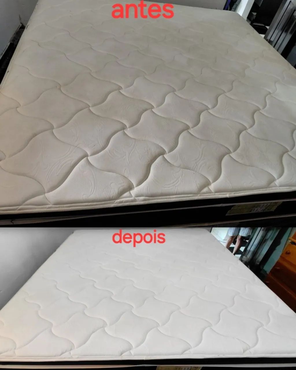 Produtos Profissionais CNX para Lavagem de Sofás, Estofados e Couro