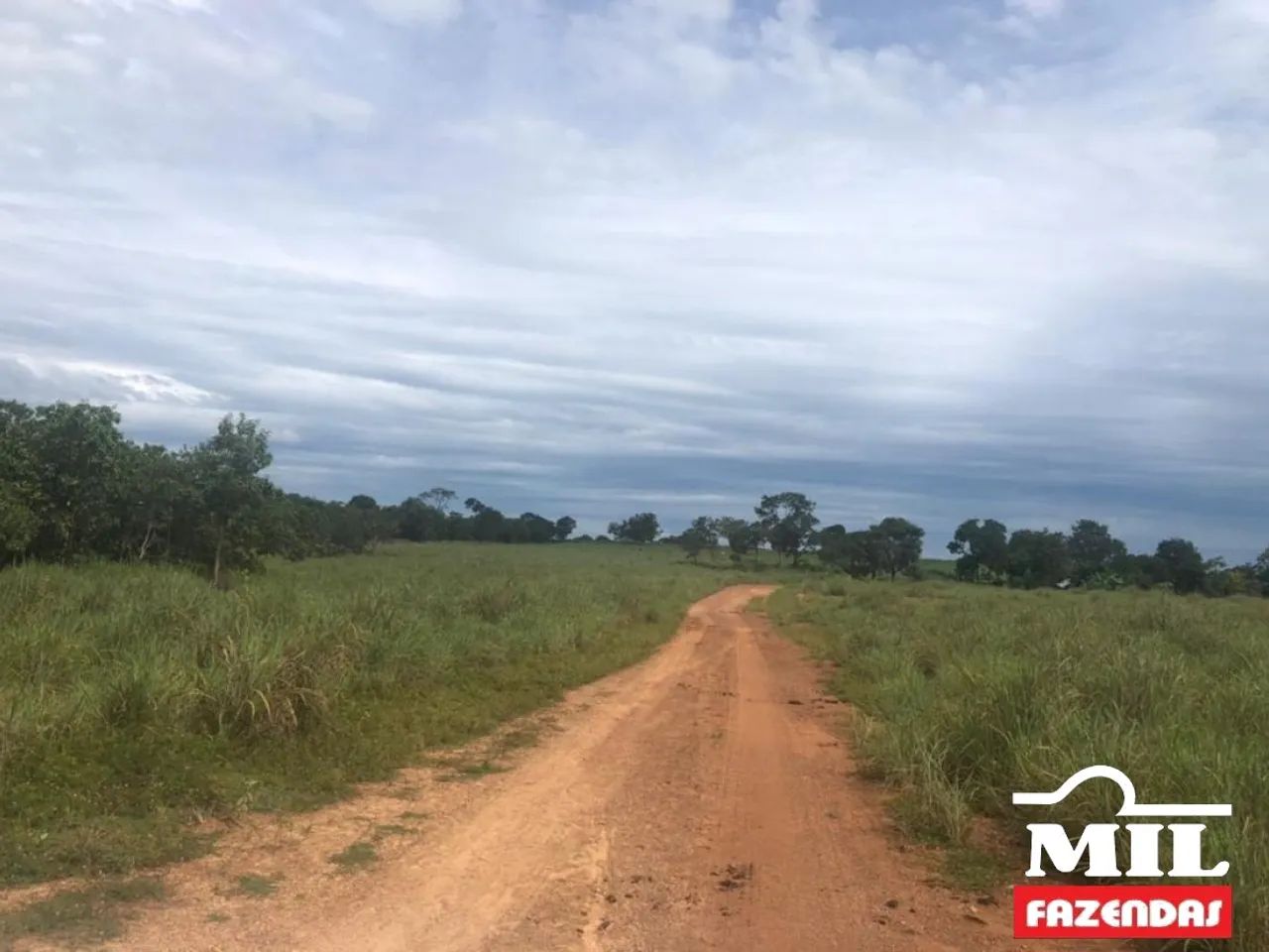 Fazenda em Talismã-TO 82 Alq. (397 Há). Boa p/ Soja - Foto 3