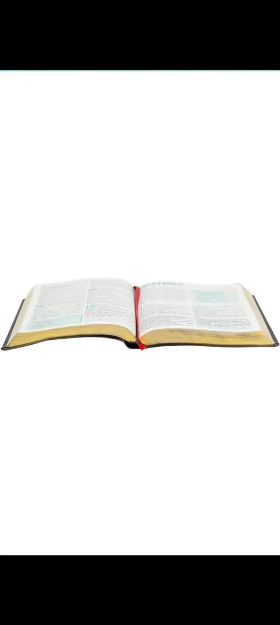 Bíblia do Pregador - Edição Esperança - Foto 3