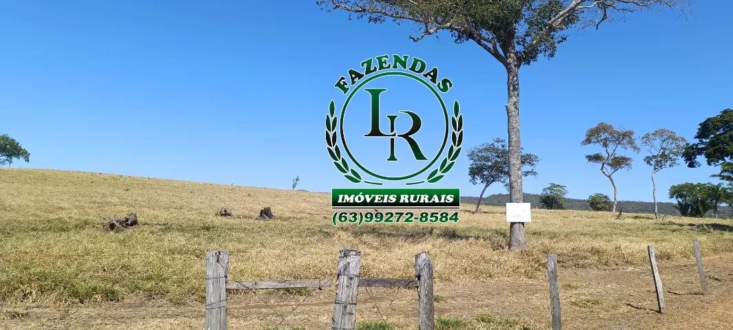 Fazenda Pecuária, Área 116 alqueires, Próximo a Palmas - Foto 3