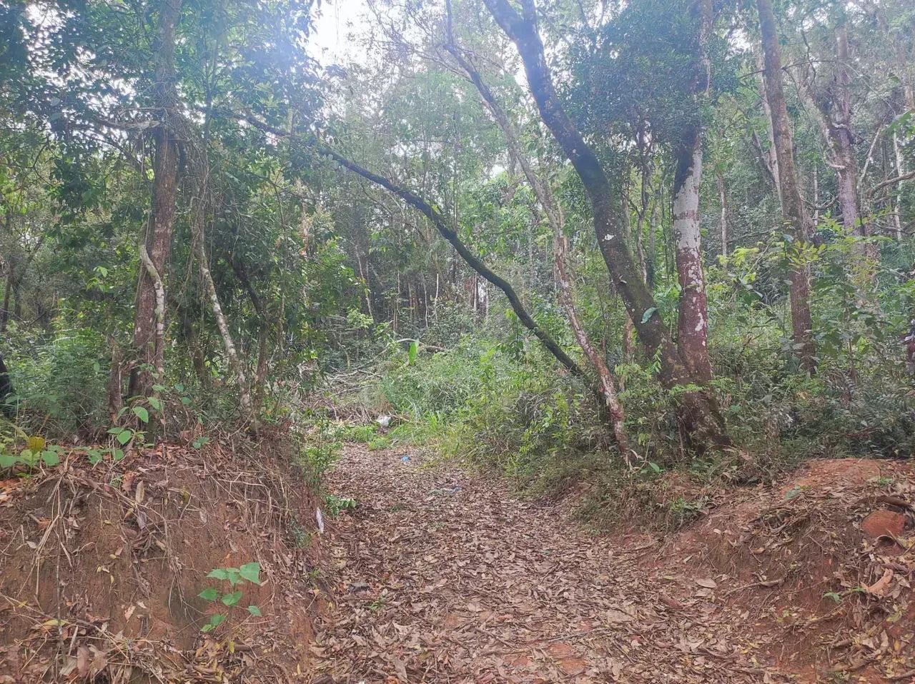 PIMENTAS - BETIM/MG. - Foto 5