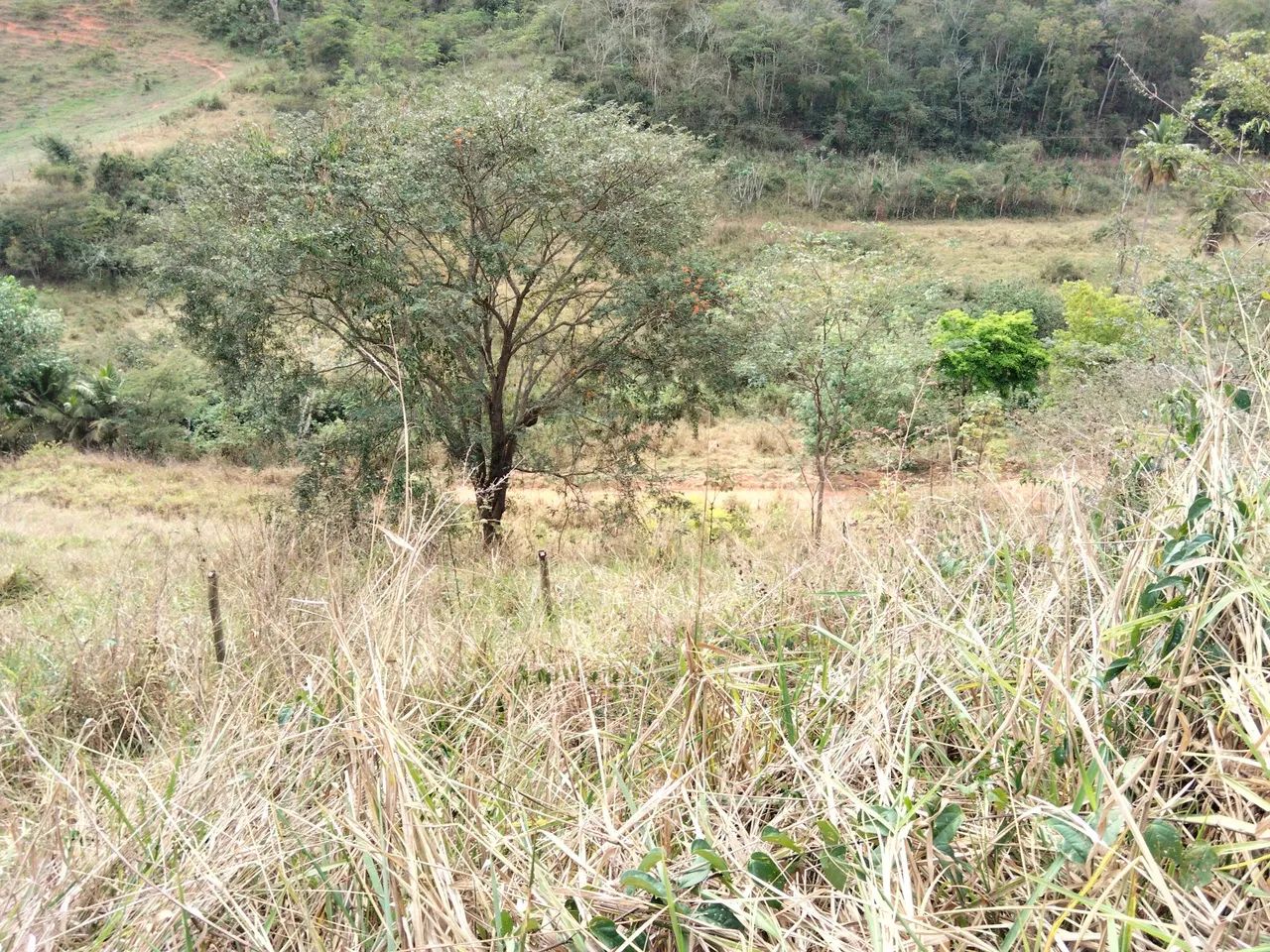 Vendo área para chácara  - Foto 5