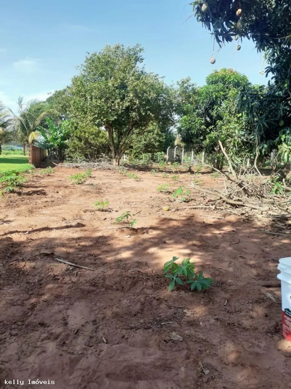 Chácara para Venda em Pirapozinho / SP no bairro Portal Do Paranapanema - Foto 8